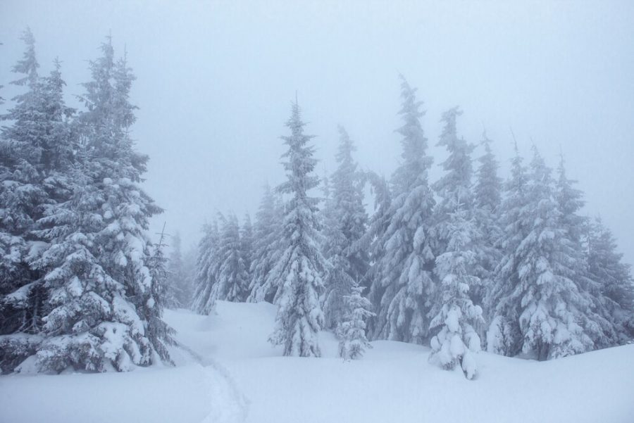 -38°С с ветром: на Кузбасс вновь надвигаются погодные аномалии