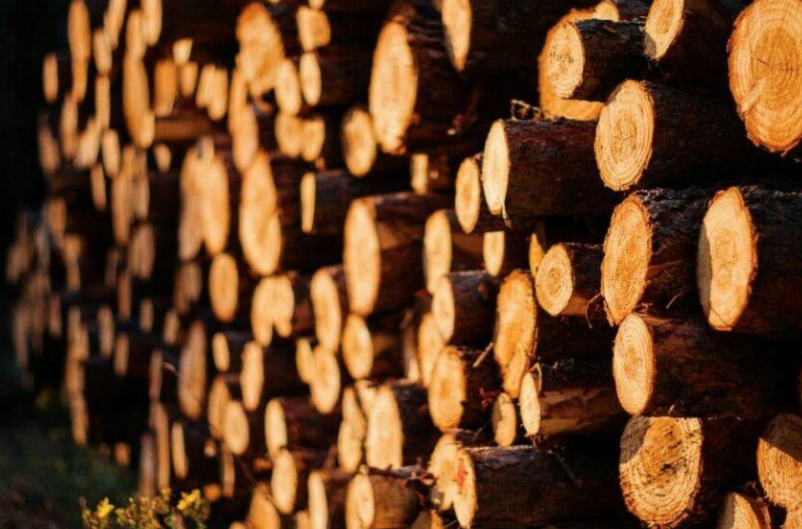 В Кузбассе власти прокомментировали информацию о масштабной контрабанде леса