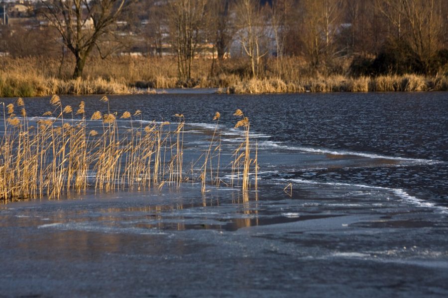 В России прогнозируется сложный паводок