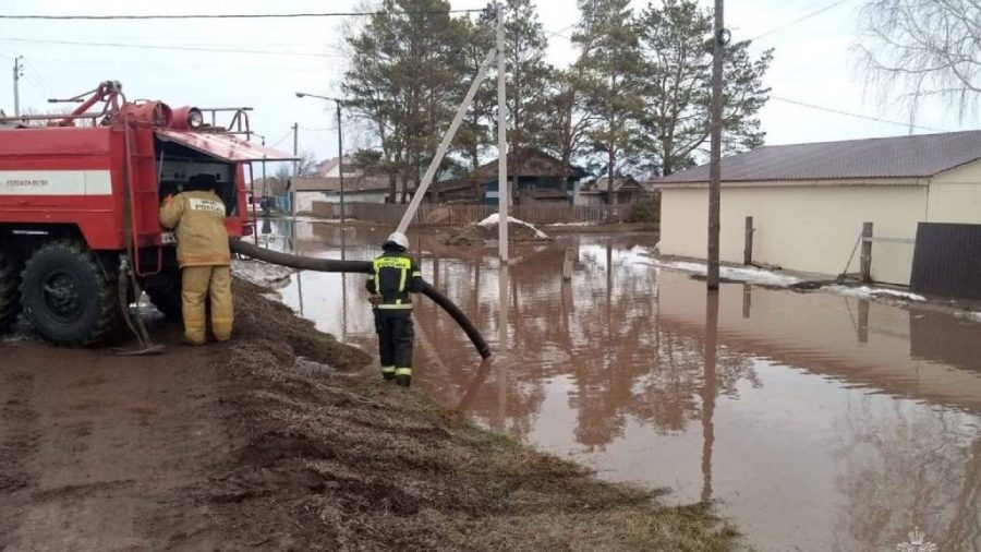 В сибирском регионе ввели ЧС из-за нашествия стихии