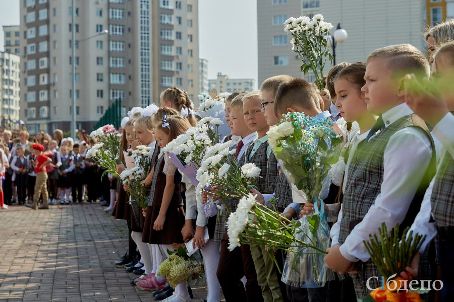 Власти Кузбасса сообщили о начале записи детей в 1 класс