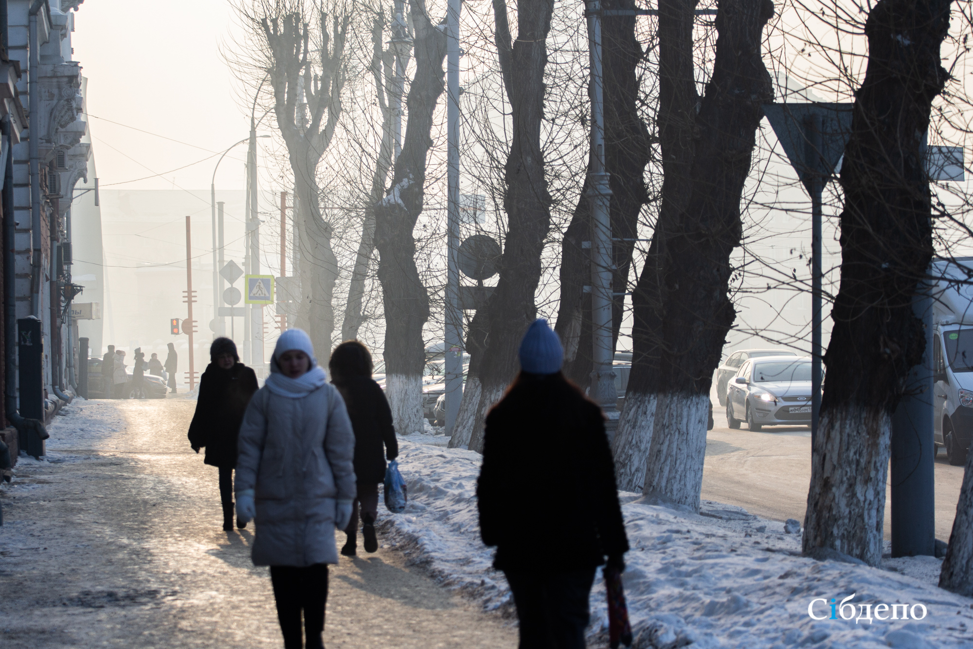 Дети идут мимо трупа в школу: из-под растаявшего снега в кузбасском городе вылез «сюрприз»