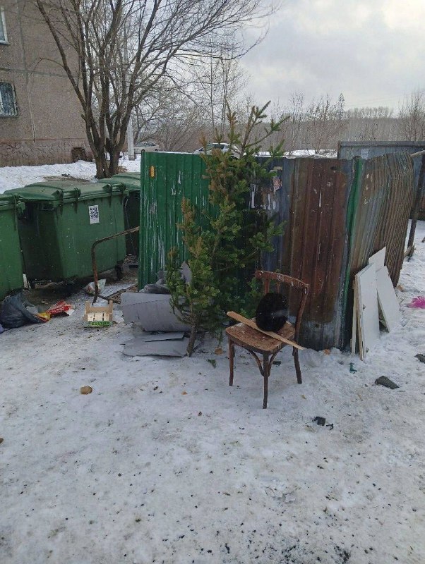 Соцсети: кузбассовец избавился от символа зимы привычным способом