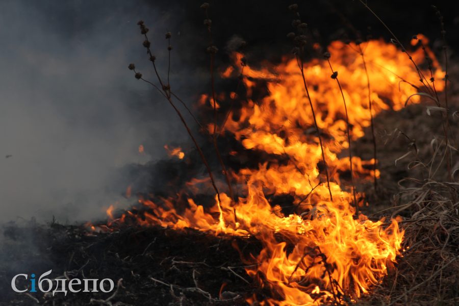 Огонь со скоростью ветра: в Кузбассе начался сезон самых опасных и разрушительных пожаров