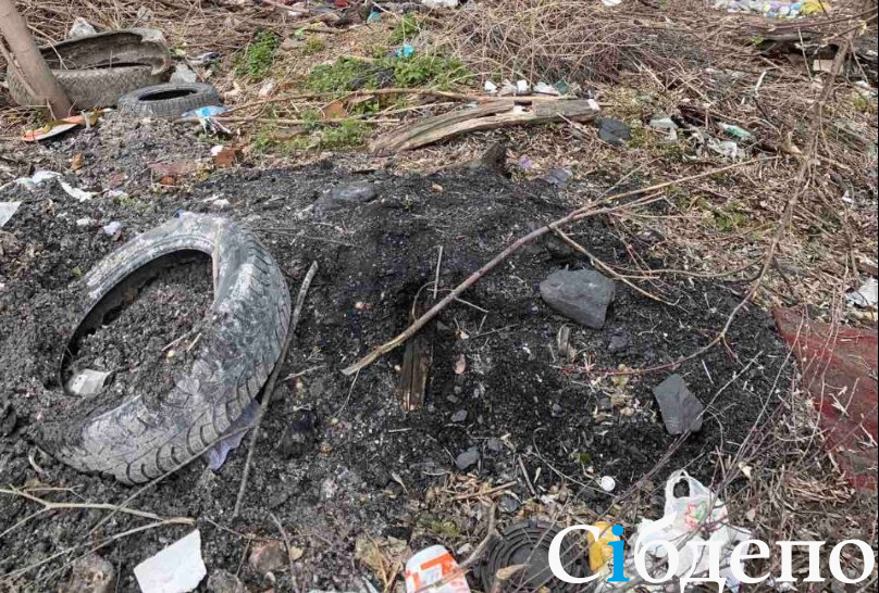 Человеческие останки обнаружили на субботнике в Кузбасском городе