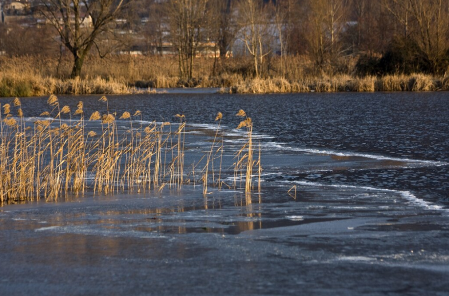 Осадки привели к резкому росту уровня воды в Новокузнецке