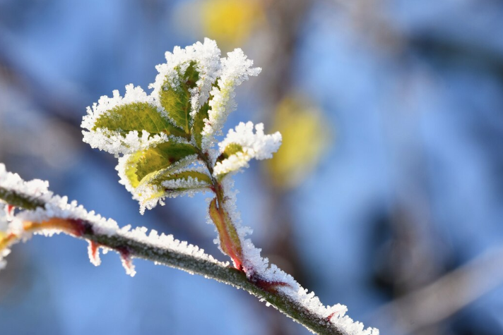 Аномальный мороз: синоптики сообщили, какая погода ждёт Кузбасс