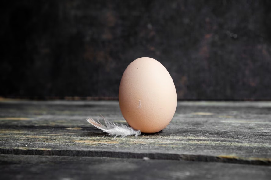 «Черви шевелятся»: из яиц в кемеровских магазинах «вылупляется» что-то мерзкое