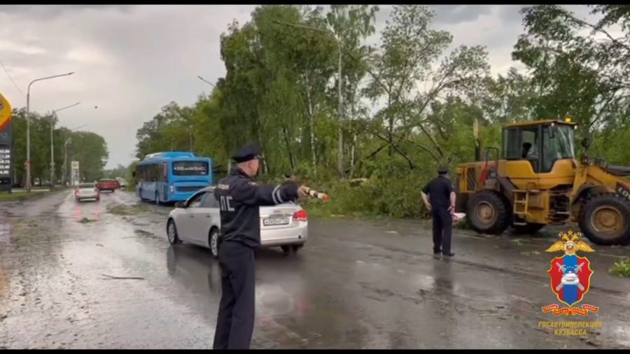 Шквал, поваленные деревья и разбитый транспорт: на Новокузнецк обрушился мощнейший ураган