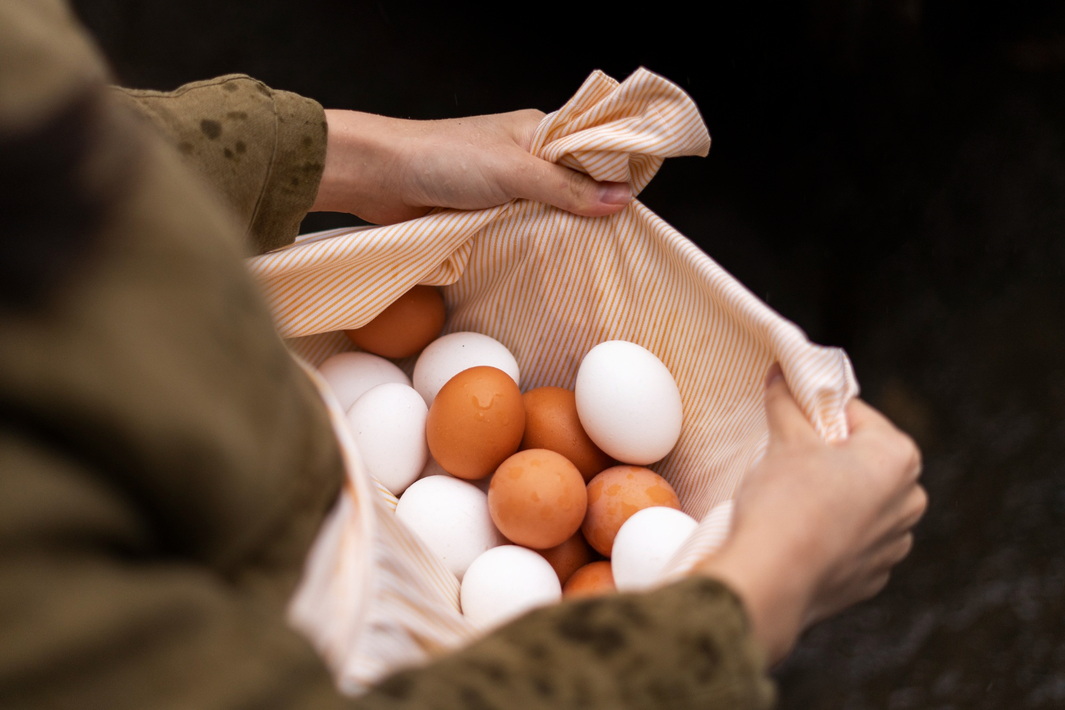 Соцсети: россияне находят в куриных яйцах из магазина ленточных червей 