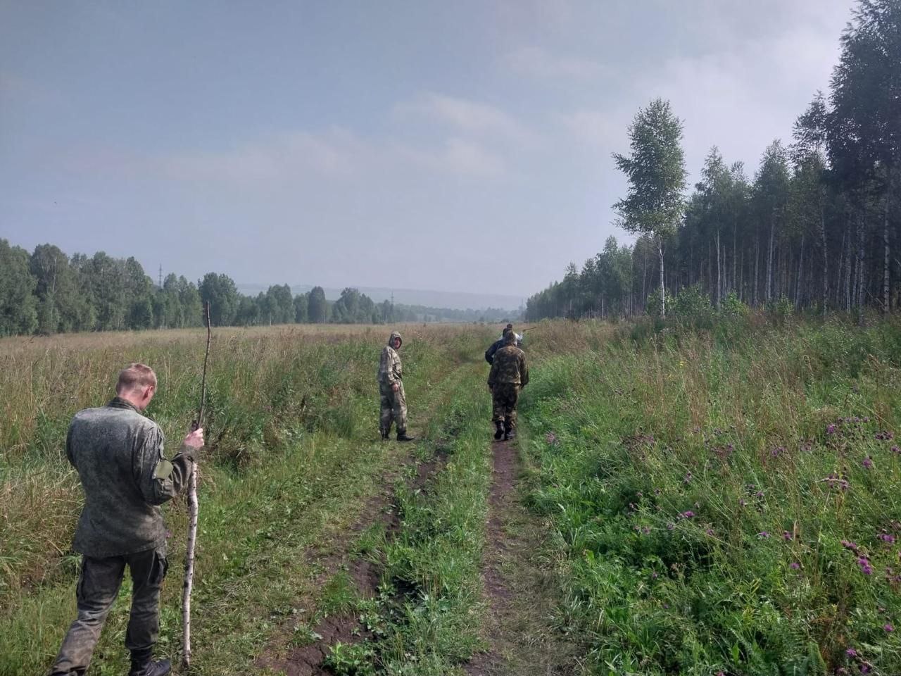 В Кузбассе ищут второго пропавшего в лесу пенсионера