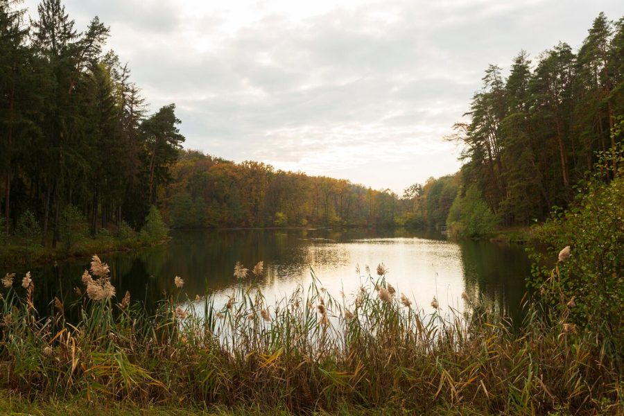 Сразу две трагедии на водоёмах Кузбасса произошли в один день