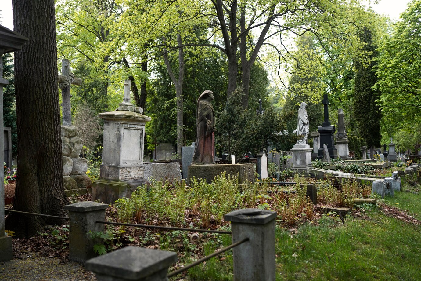 Россияне заражаются смертельно опасным заболеванием на кладбищах