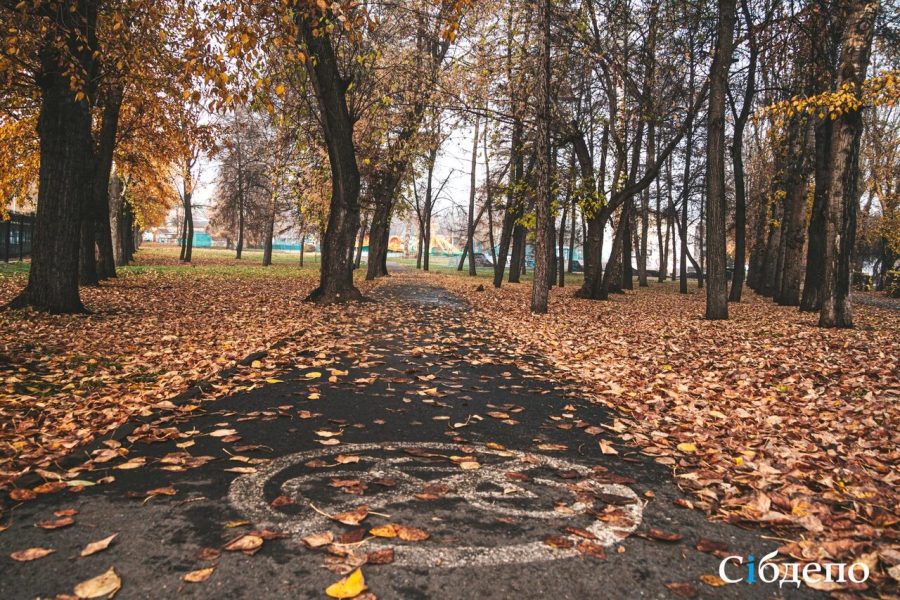 Кузбассовцам рассказали, какую погоду ждать в сентябре