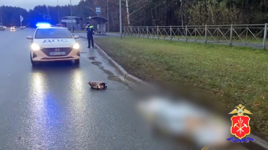 В Кемерове пенсионерка погибла под колёсами автобуса (видео)