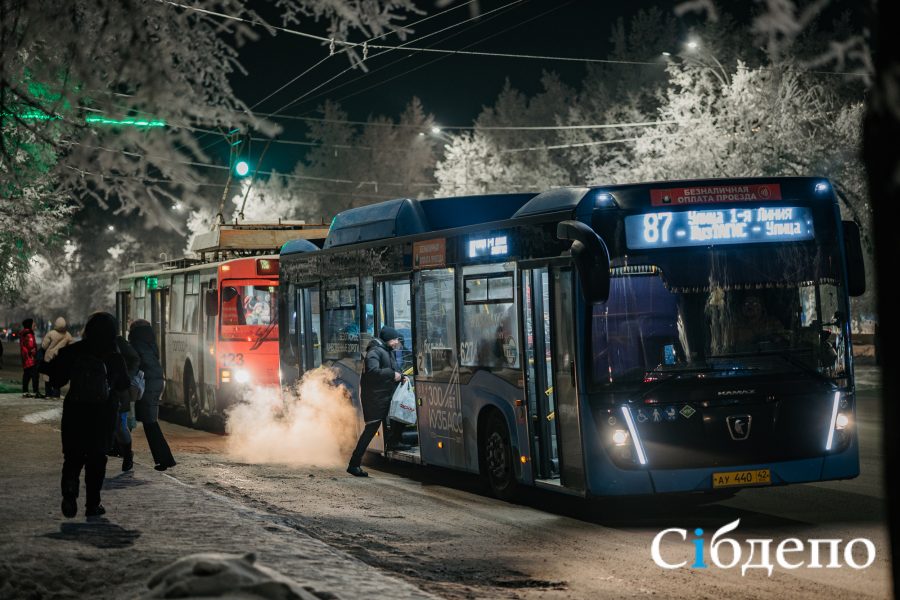 В Кемерове власти разбираются с водителем, который кричал на ребенка матом и оставил не там