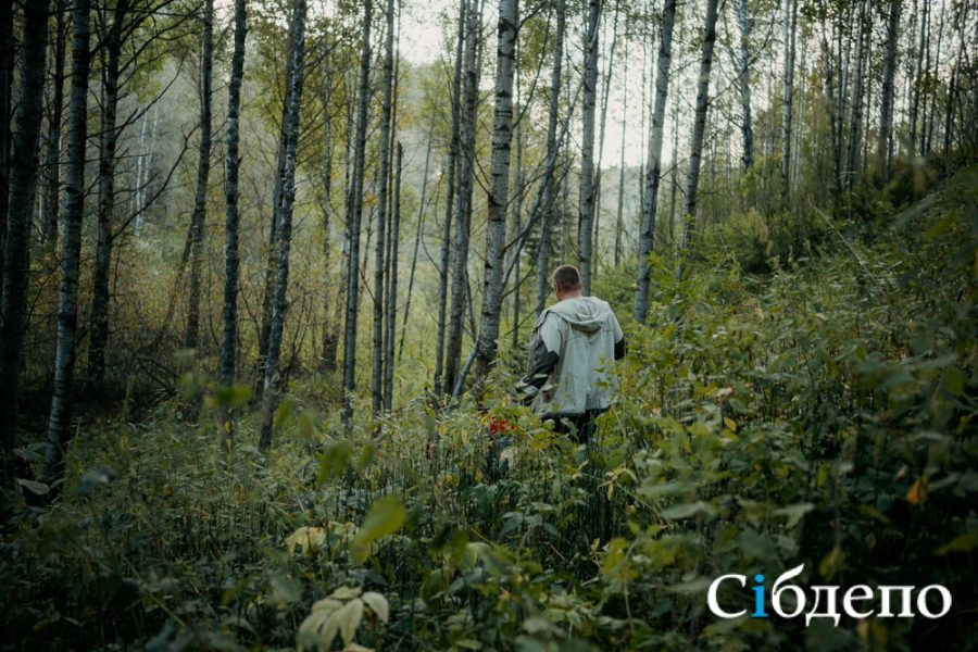 Теперь новый чиновник будет следит за зелеными богатствами Кузбасса